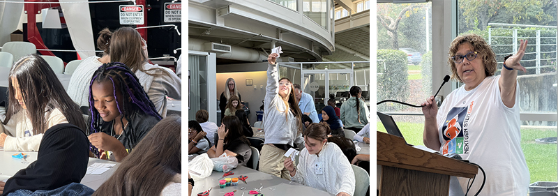 Picture 377055500, Picture