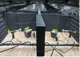 One of CRTG's isolated experimants